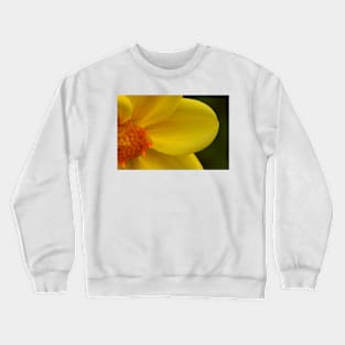 Golden Curves Crewneck Sweatshirt